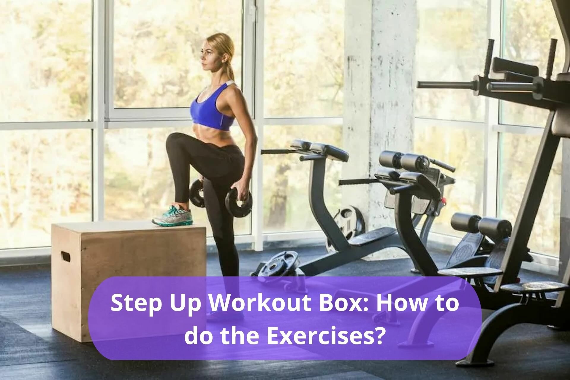 step up workout box